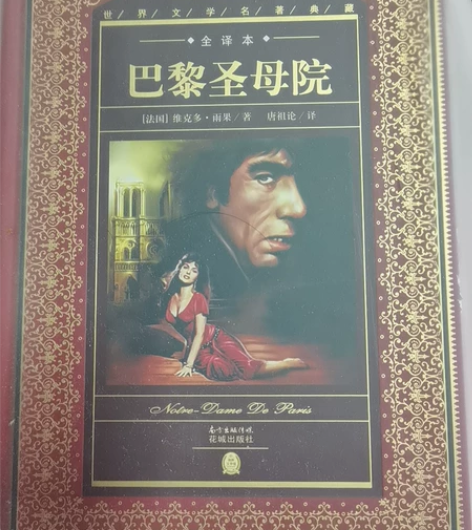 巴黎圣母院全译版 个人闲置不退不换 非偏远...
