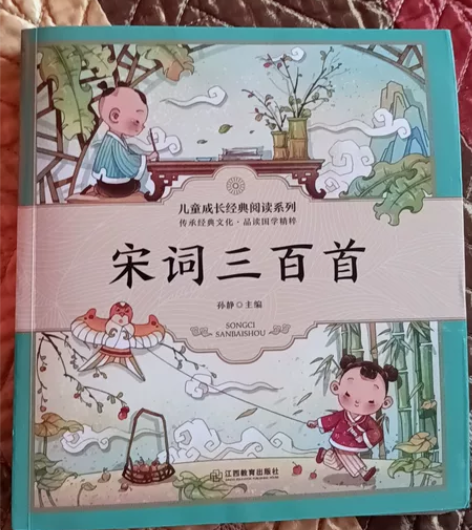 宋词三百首  唐诗三百首  全新  2本5...