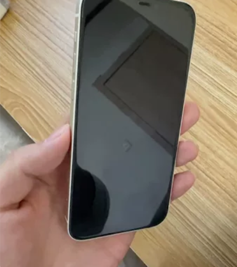 Apple/自用苹果 iPhone 12,...