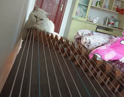 标价即卖价95新古筝，送筝架.防尘罩，古筝...