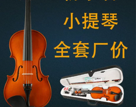 初学者小提琴成人儿童入门练习小提琴自学全套...