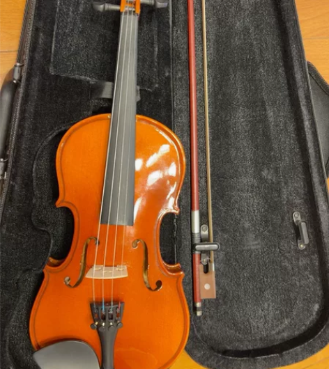 入门级小提琴 感兴趣的话点“我想要”和我私...