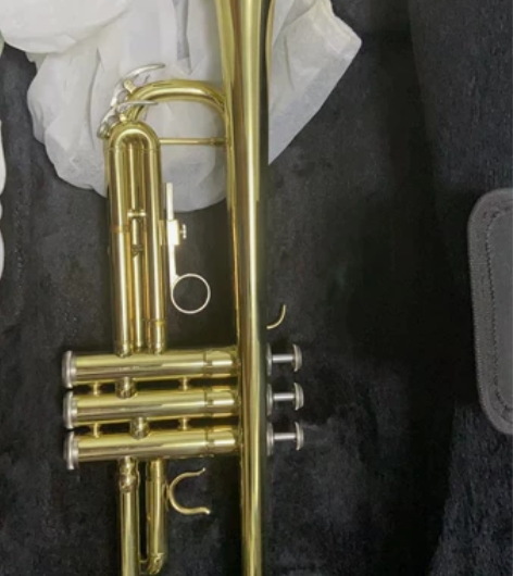 孩子被选为学校的小号班。就在学校老师那儿买...