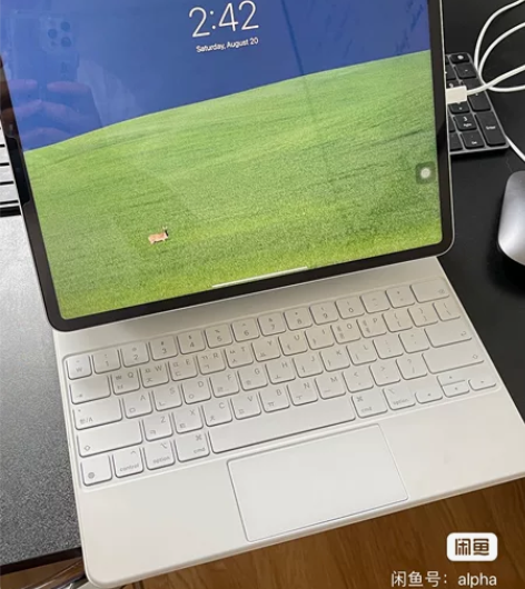 12.9 英寸 iPad Pro 无线局域...