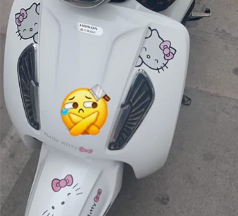 新大洲本田电动车,纯白色,过年550块钱才...