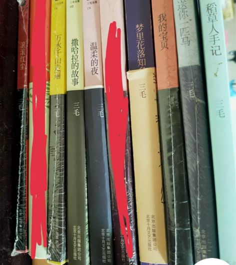 三毛:滚滚红尘  万水千山走遍 撒哈拉的故...