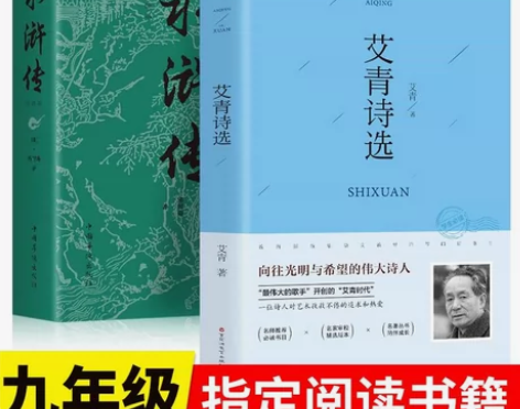 水浒传+艾青诗选 初中九年级上册语文课本指...