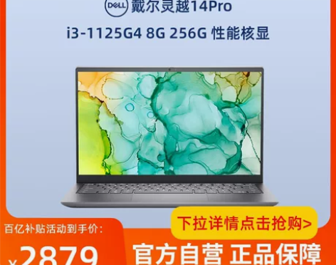 Dell/戴尔灵越14Pro 5410 英...