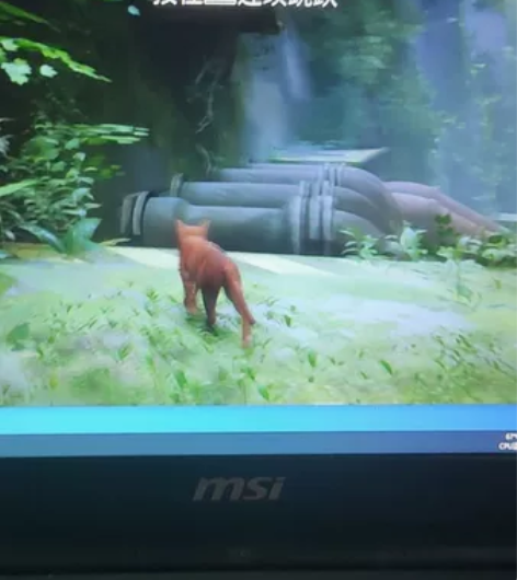 微星gs70 17.3寸游戏本 970m显...