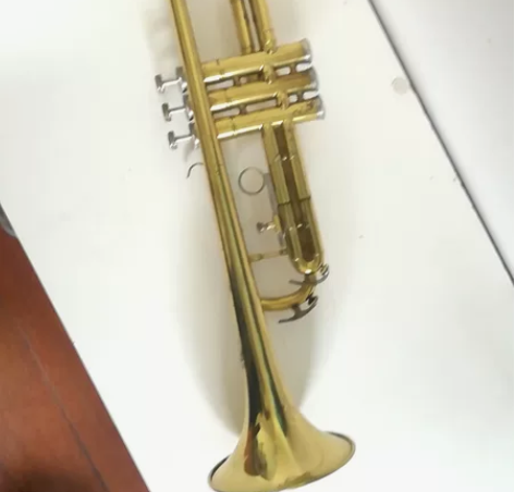 星海小号,音色很好,纯正明亮。按键灵活。闲...