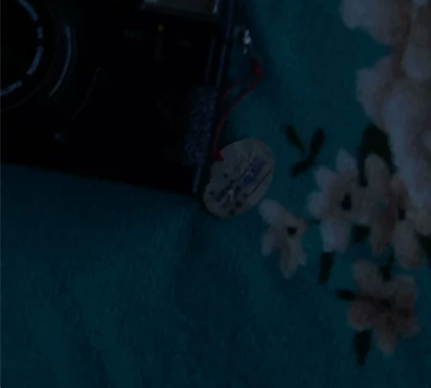 海欧相机 倒不了胶卷 成色不错 当摆件 看...