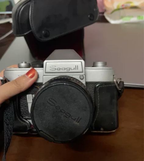 海鸥seagull 相机DF-1，老相机，...