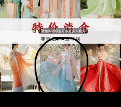 仙楚姬原创汉服，明制汉服，上粉刺绣，下蓝印...