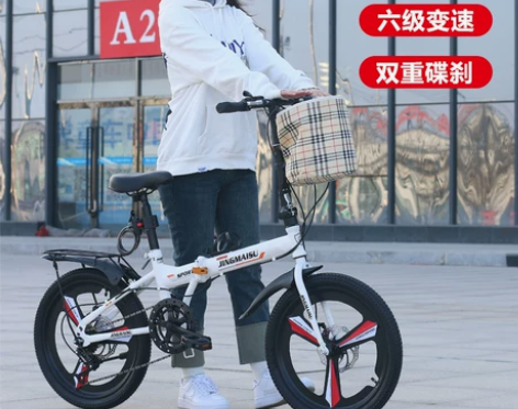 折叠自行车成人超轻便携男女式20寸中大学
