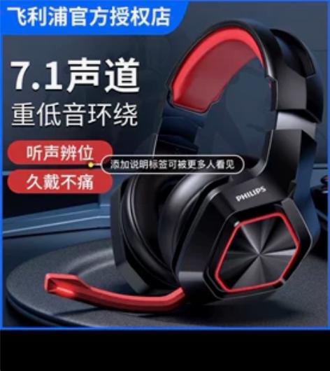 Philips/飞利浦TAG3115电脑头...