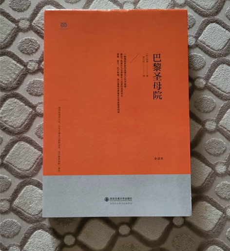 巴黎圣母院 李玉民翻译 正版书 基本全新 ...