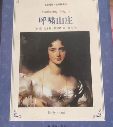 呼啸山庄 轻微的使用痕迹但是放存已久。轻微...