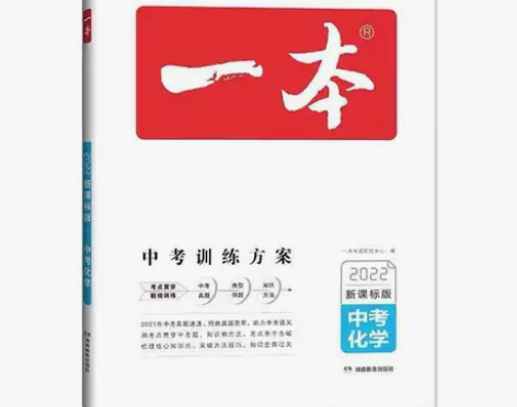 一本化学中考总复习新课标版中考初中基础知识...