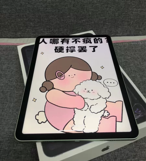特价出100%电池ipad air4 10...