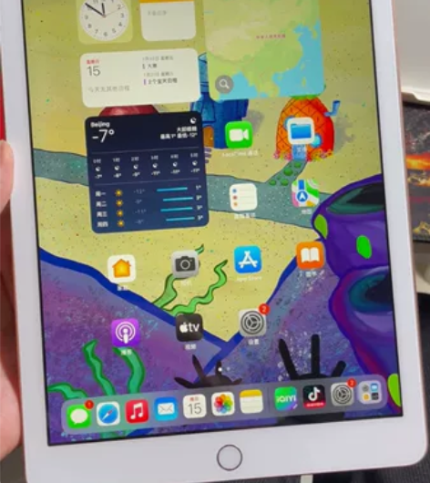 iPad 2018 第六代 无拆修 全部原...