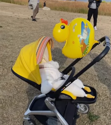 bebebus婴儿车黄色款，用了半年多，现...