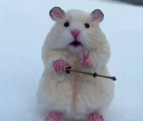 阿凡达2万达影城IMAX万达电影票 只要3...