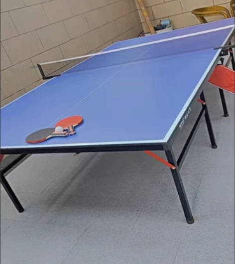 乒乓球桌室内折叠家用标准带轮兵乒乓球台案子...