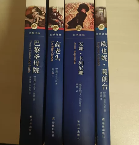 《巴黎圣母院》 《高老头》《安娜·卡列尼娜...