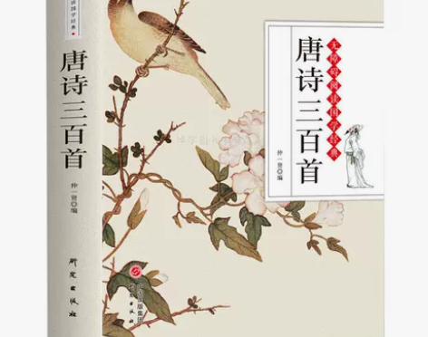 正版 唐诗三百首宋词元曲三百首全集注释 初...
