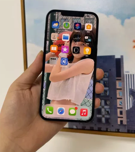 苹果12ProMax256G  有面容现货...