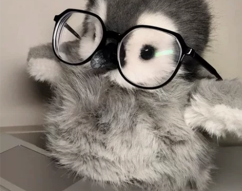 上海临港英语家教 本人成绩：上海高考英语1...