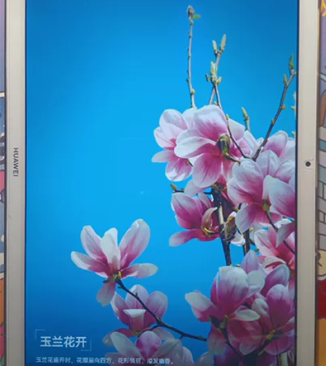 华为平板M6SCM-AL09  10.8寸...