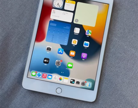 ipadmini5 2019款wifi版6...