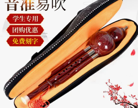 葫芦丝 葫芦丝树脂三音民族初学者学生成人儿...