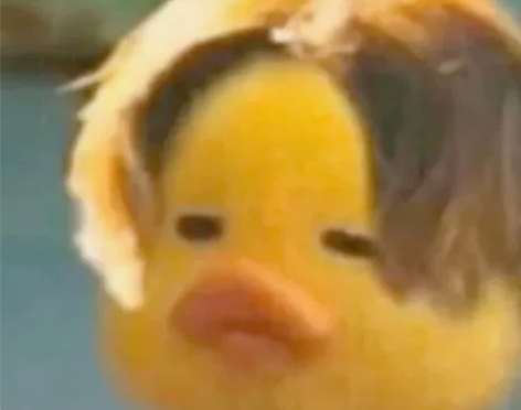 留学生离散数学 各种程序语言编程 算法 数...