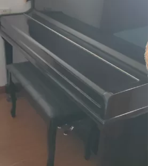 20年8月买的BRUNO  up120的钢...