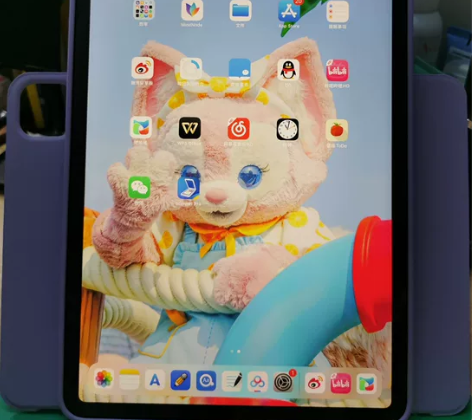 iPad Pro 2021 11英寸 国行...