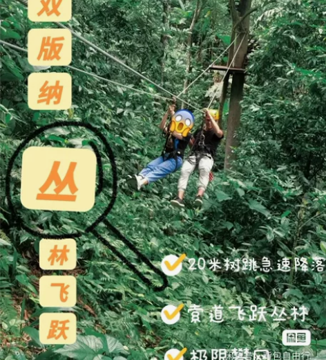 丛林飞跃套票含门票电瓶车B段280 丛林飞...