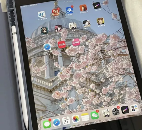 考研已上岸,用不上了,ipad2020款 ...
