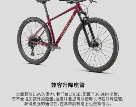 自行车 SPECIALIZED闪电 CHI...