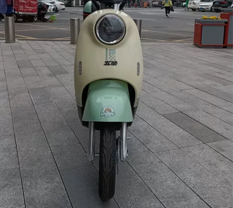 五羊新国标电动车,不用驾驶证,电机电池质保...