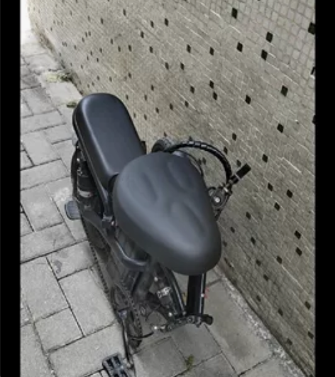 两块电瓶一个车，英国技术普莱德 新国标折叠...