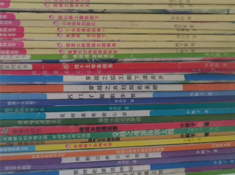 青春校园经典小说，因本人搬家去外地，所以低...