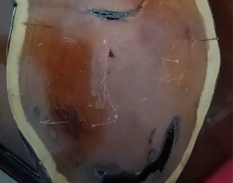 日本一木雕实木底座，长近40Cm，宽20厘...