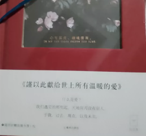 日记本，红色没拆15，蓝色拆了10 两本一...