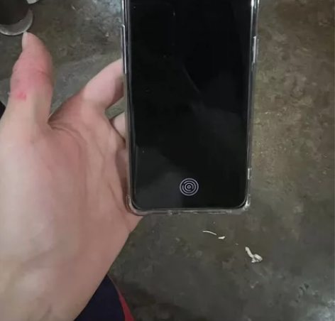 OPPO Reno5Pro+5G     ...