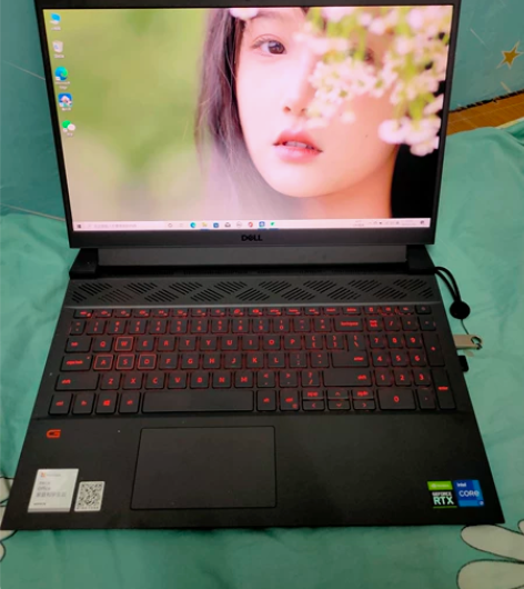 戴尔G15游戏笔记本，9000多买的，没怎...