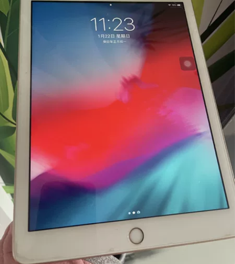 忍痛出 培训机构倒闭便宜卖二手平板 iPa...