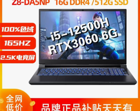 神舟战神Z8-DA5NP 12500H 2...