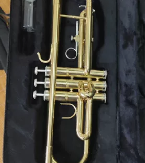 处理小号！买来没怎么吹！ 感兴趣的话点“我...